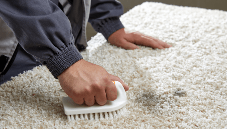 Professional Rug Cleaning Alphington