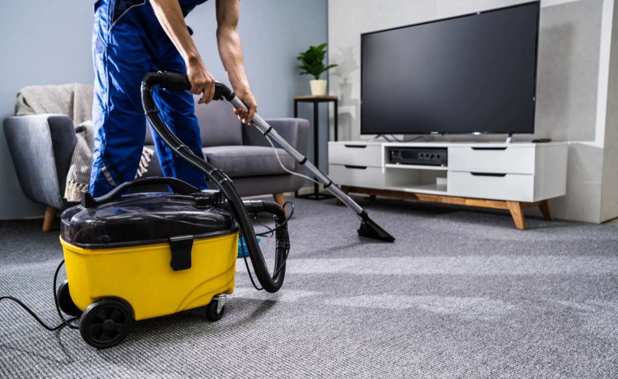 Extract Rug Cleaning Alphington Contact Office